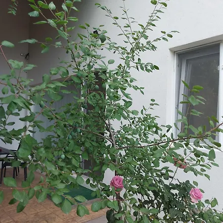 ヴィラ Romelia - Select