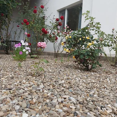 Villa Romelia - Select *