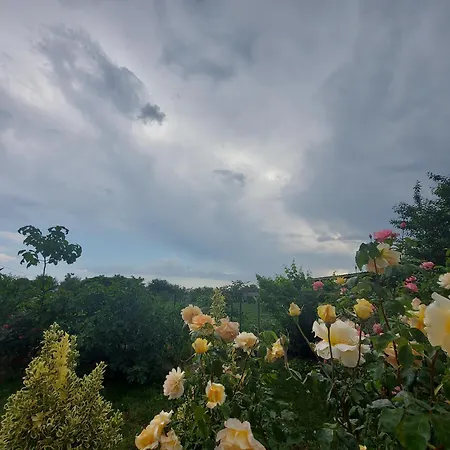 Romelia - Select Villa Vadu